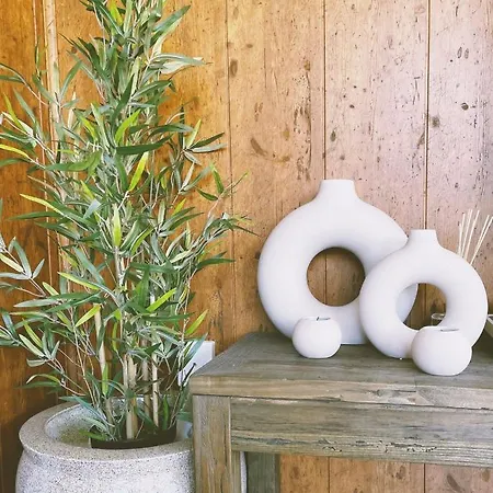 Apartamento Primavera Deluxe *